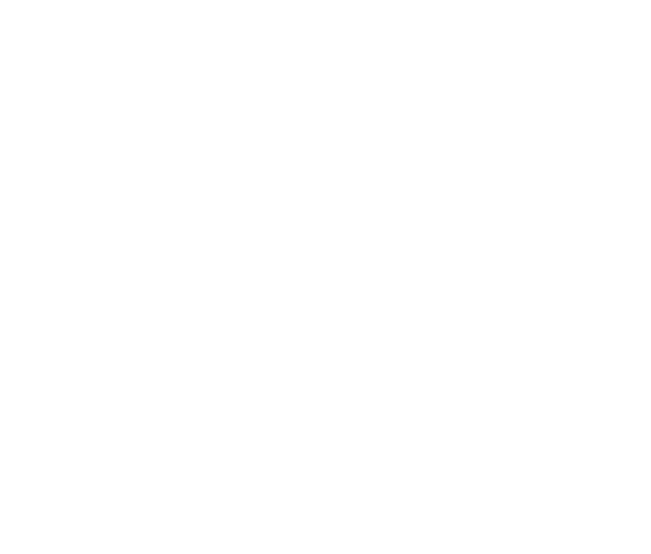 OCEAN FREIGHT/ AIRFREIGHT