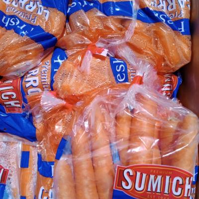 Carrot