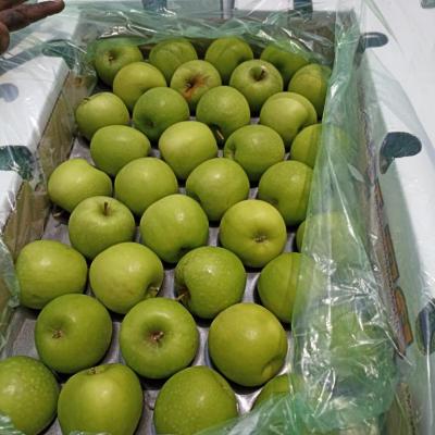Green Apple