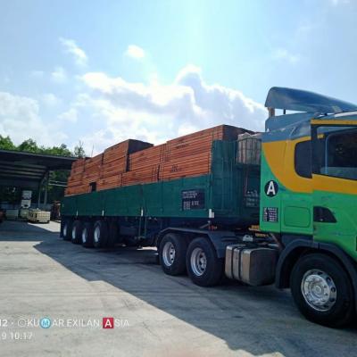 Raw Timber Unload From Truck